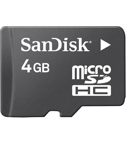 Amazon.com: SanDisk 4GB microSDHC Flash Memory Card SDSDQ-004G